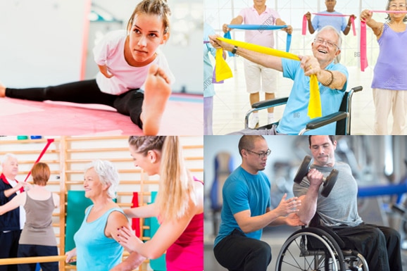 Topaz Health Training Course: NEW: Active IQ - Level 3 Award in Designing Exercise Programmes for Disabled Clients (QCF)